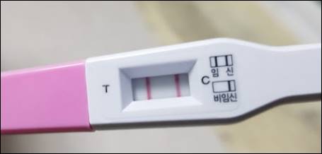 임신테스트기 임테기 임신 선명한 두줄